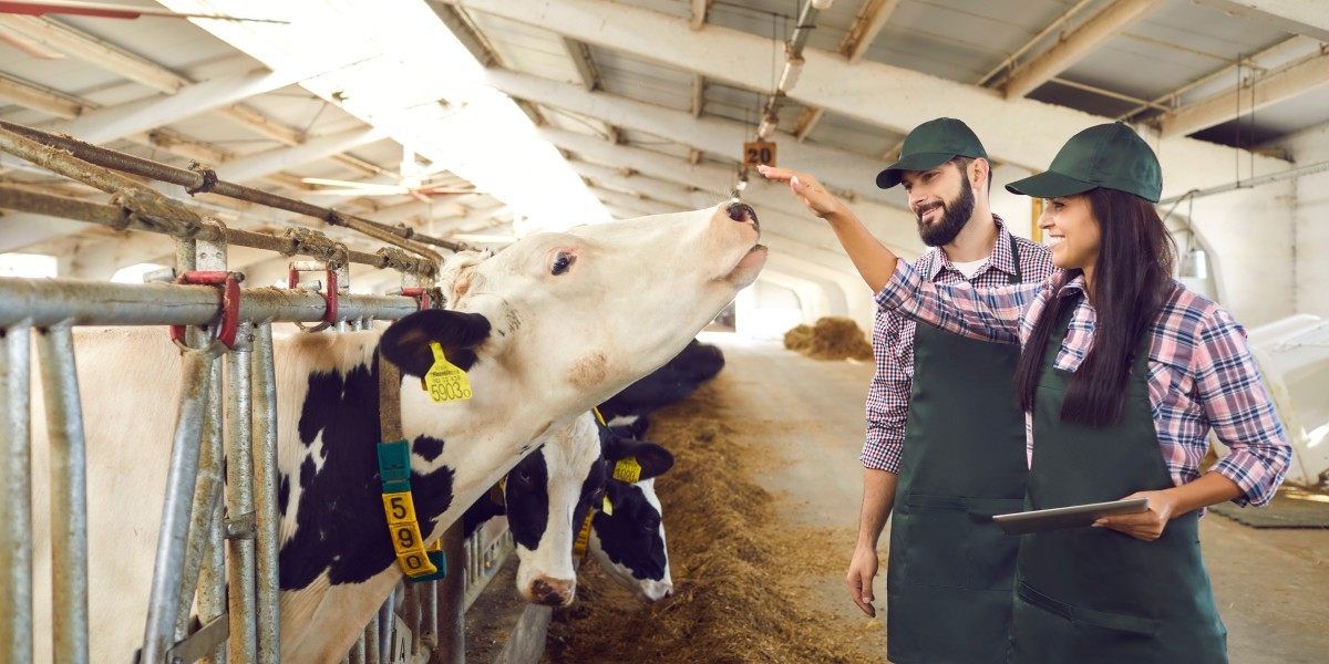 Ứng dụng công nghệ RFID trong quản lý nông nghiệp chính xác