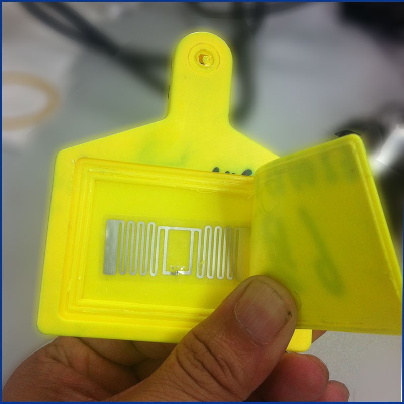 Thẻ đeo tai cho động vật RFID UHF chất lượng cao JT-307