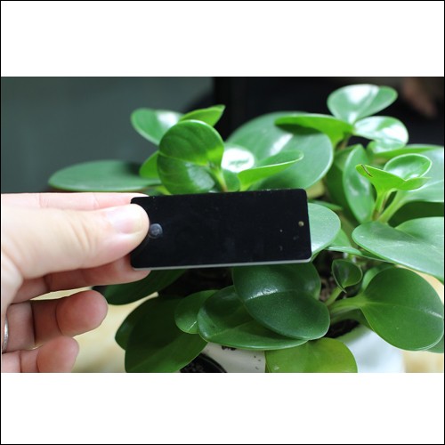 Thẻ kim loại UHF JT-6025